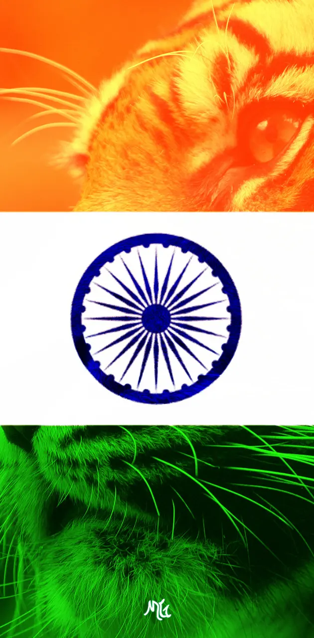 India Flag IN