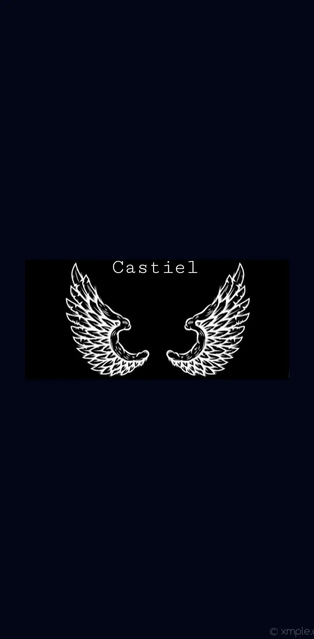 Castiel Wings dark