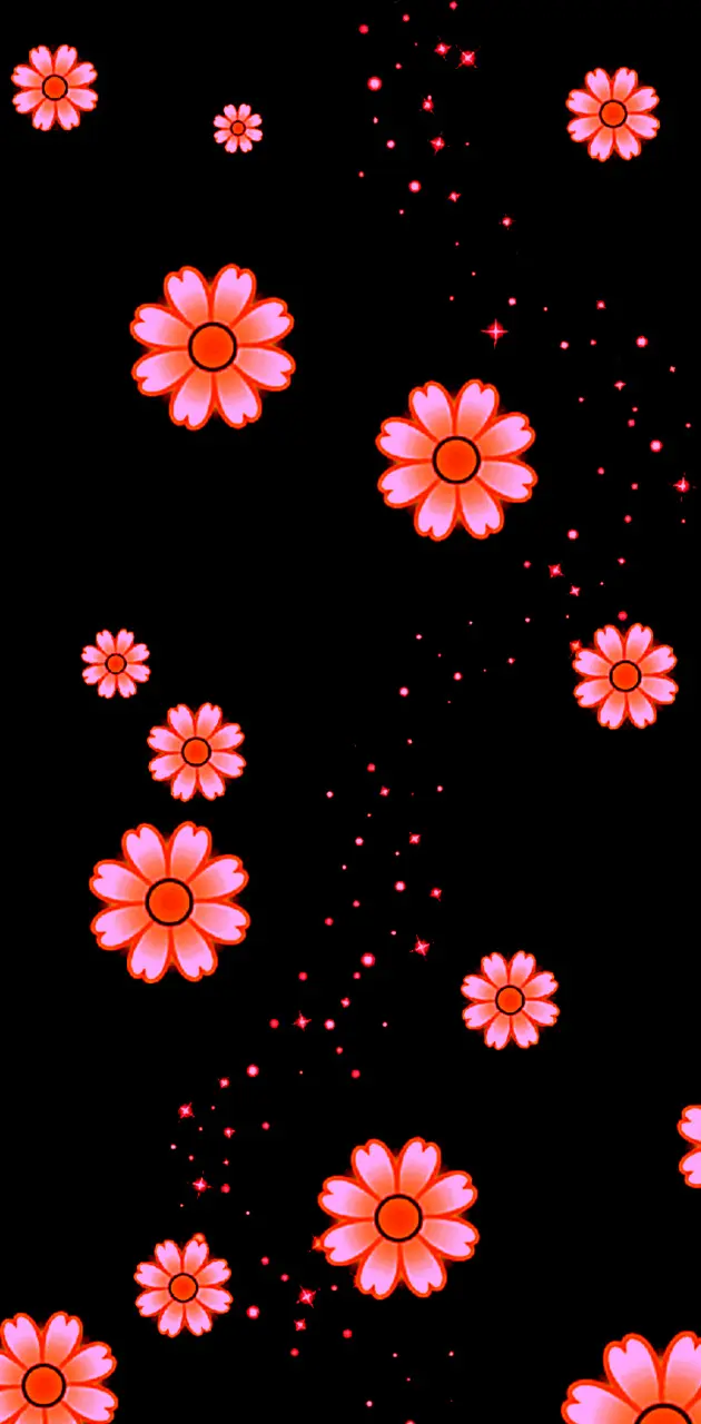 Orange pink daisy