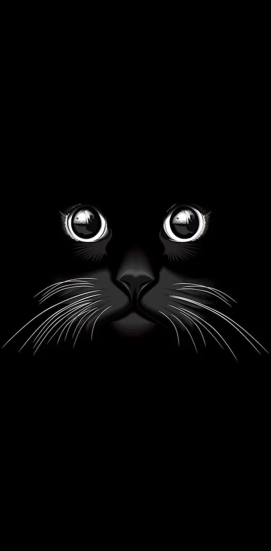 Black Cat i5