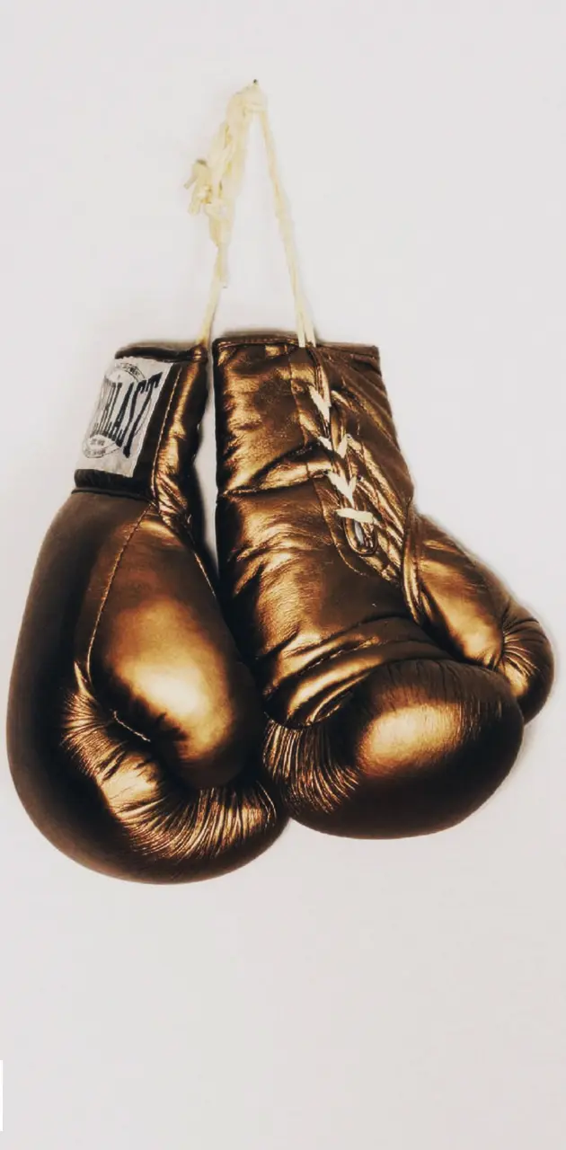 boxing gloves gold