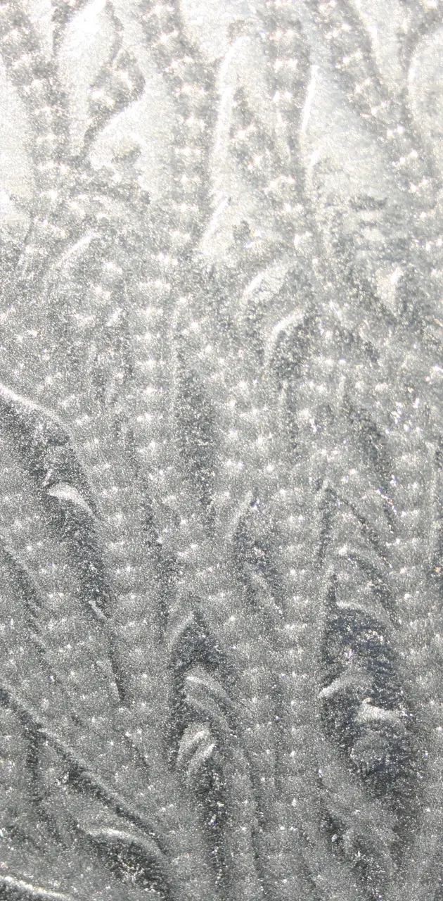 Patterns Of Frost