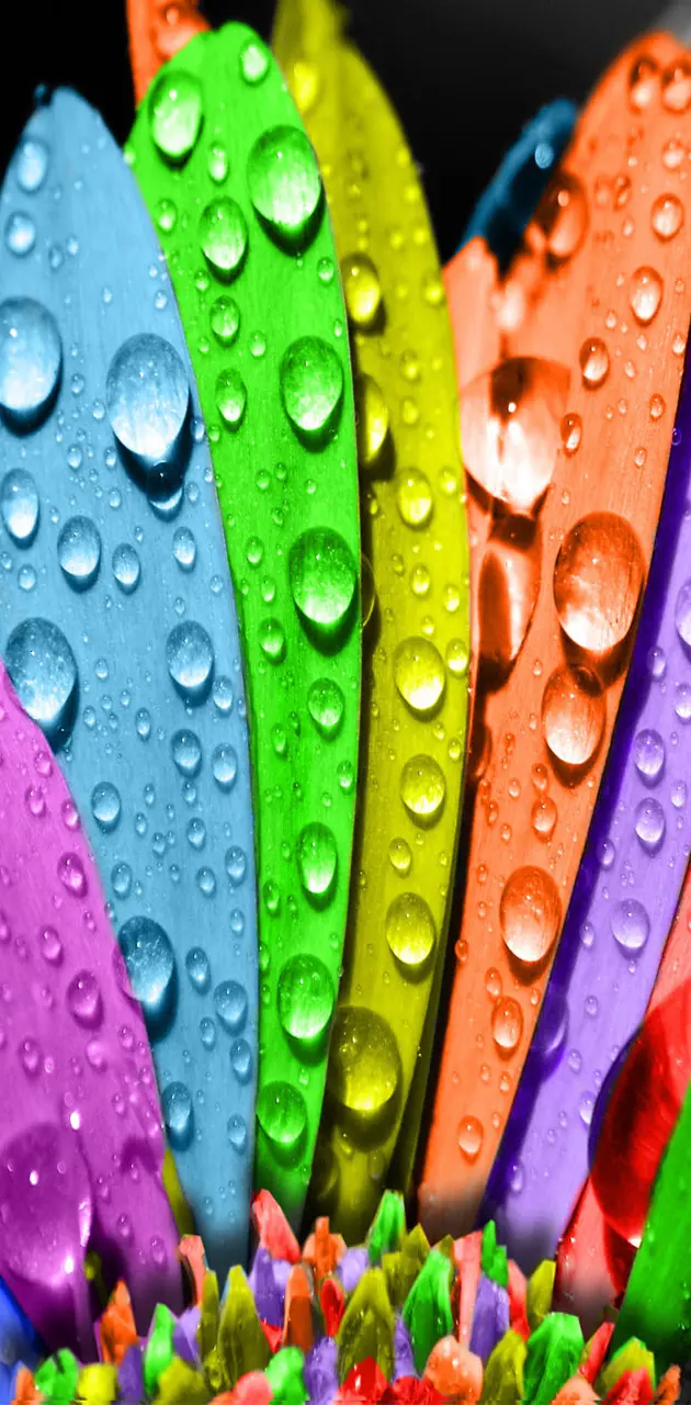Colorful Drops Wall