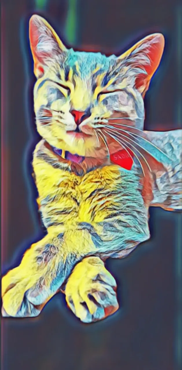 Abstract Kitty 