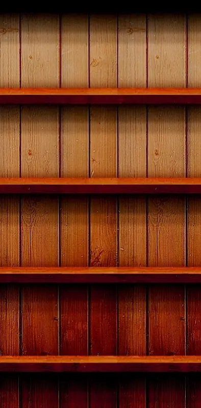 Wood Shelf Regal