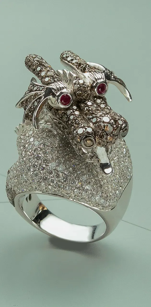 A Silver Ring with Diamonds