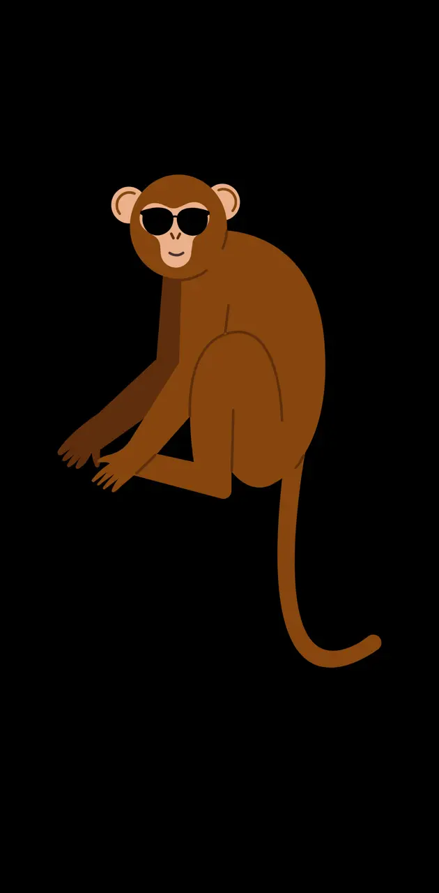 Stylish monkey 