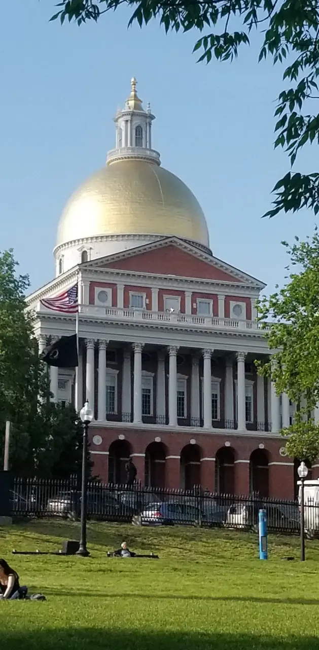 Mass state house 