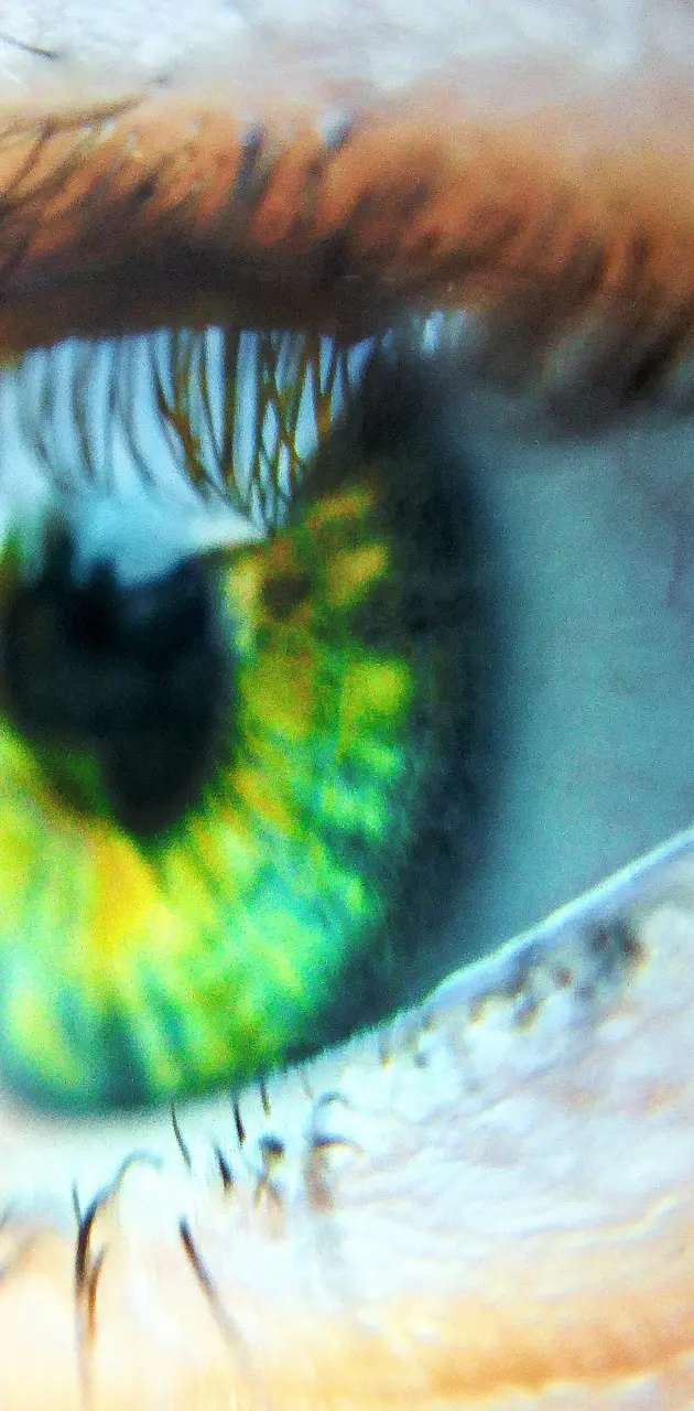 Davuds eye