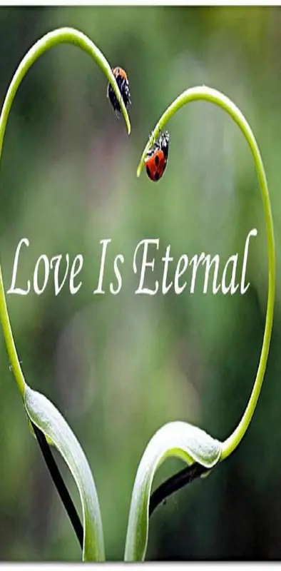 Love is Eternal