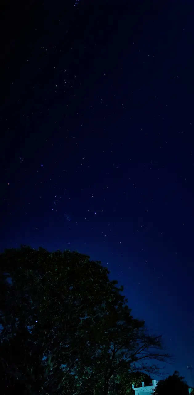 Night sky star