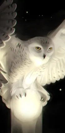 Owl lit