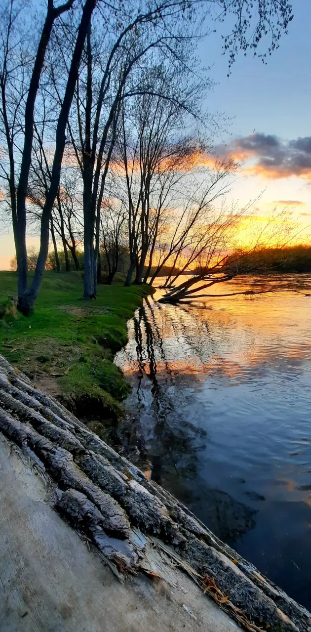 Sunset River