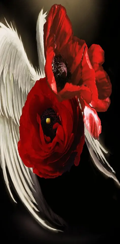 Red Angel Flower