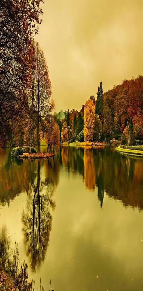 Lake autumn trees