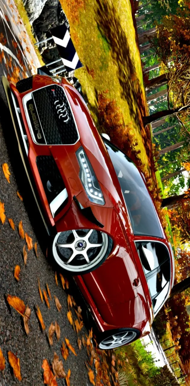 Audi rs 6