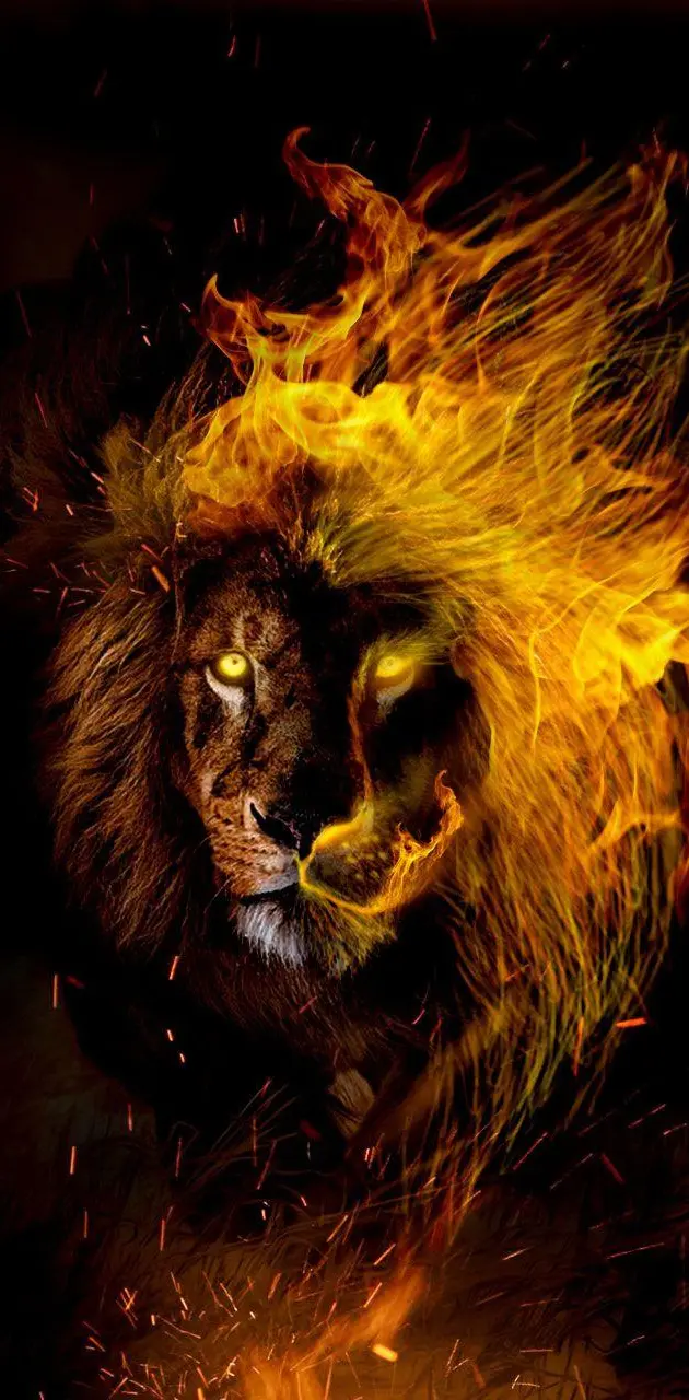 fire lion wallpaper