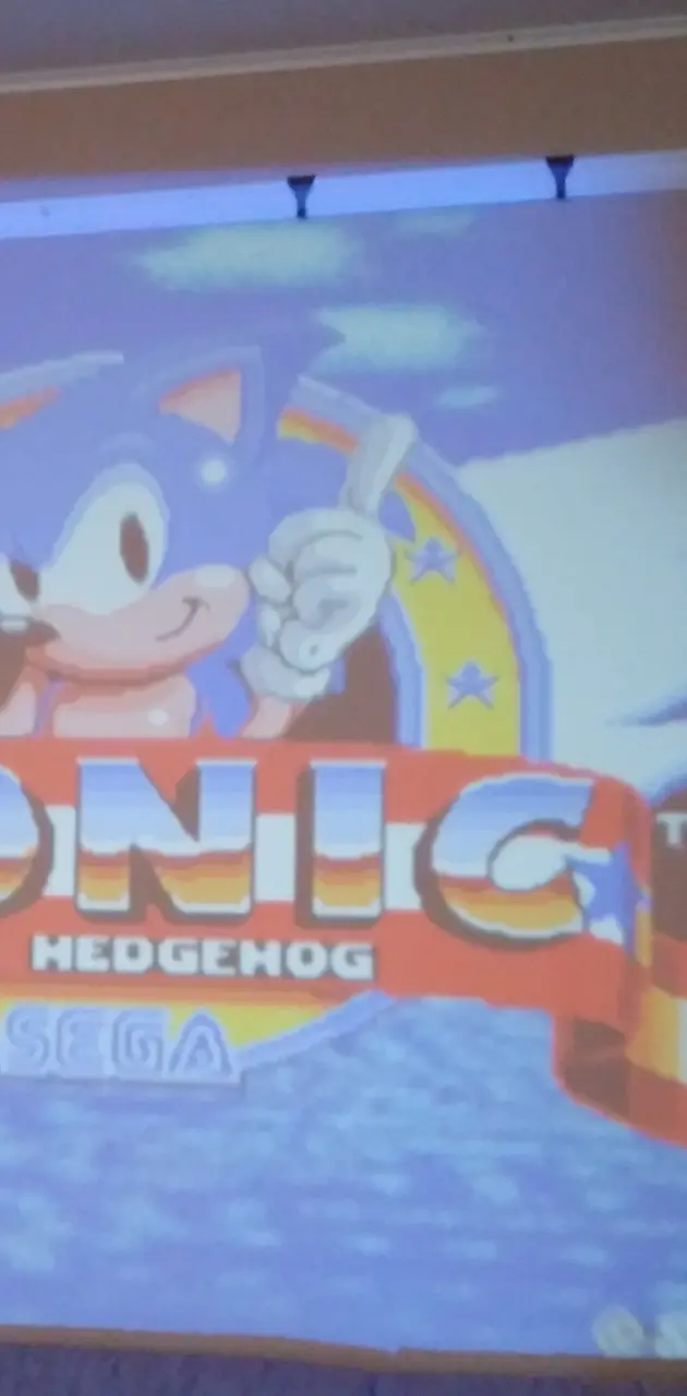 Sonic T. Hedgehog 