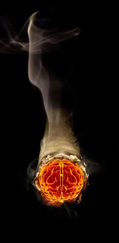 Smoking Brain