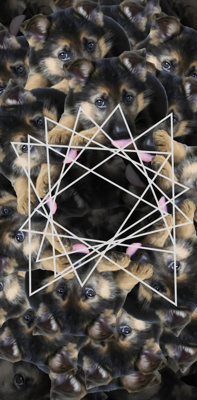 Kaleidoscope puppy