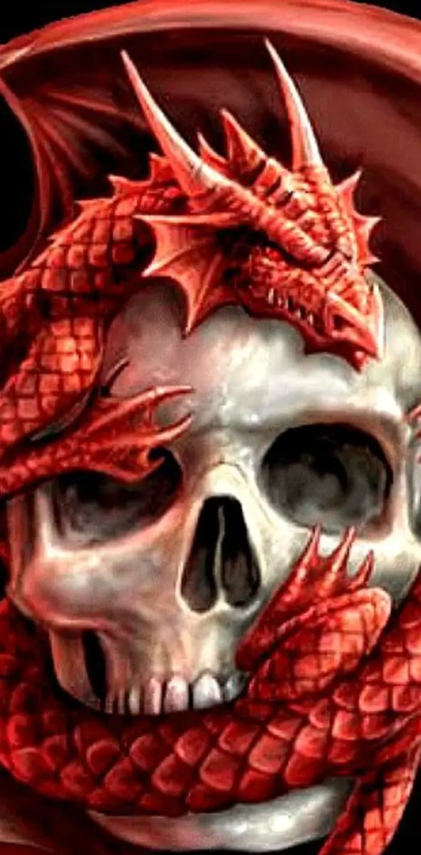 Skull N Dragon
