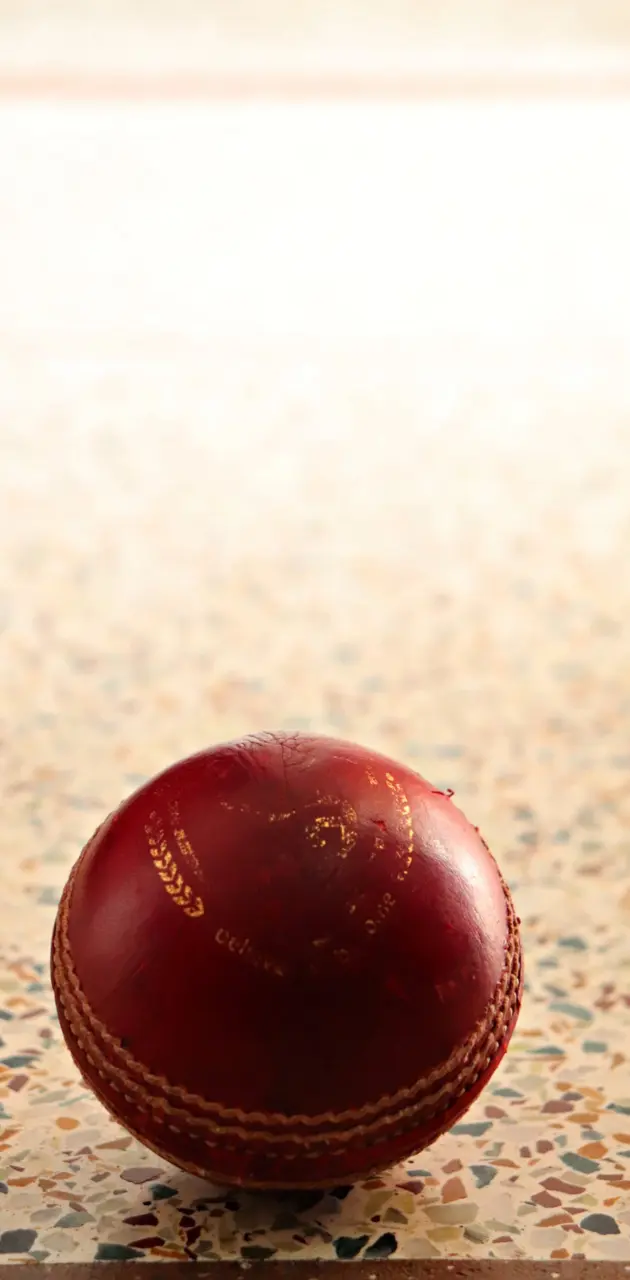IPL Cricket Ball 