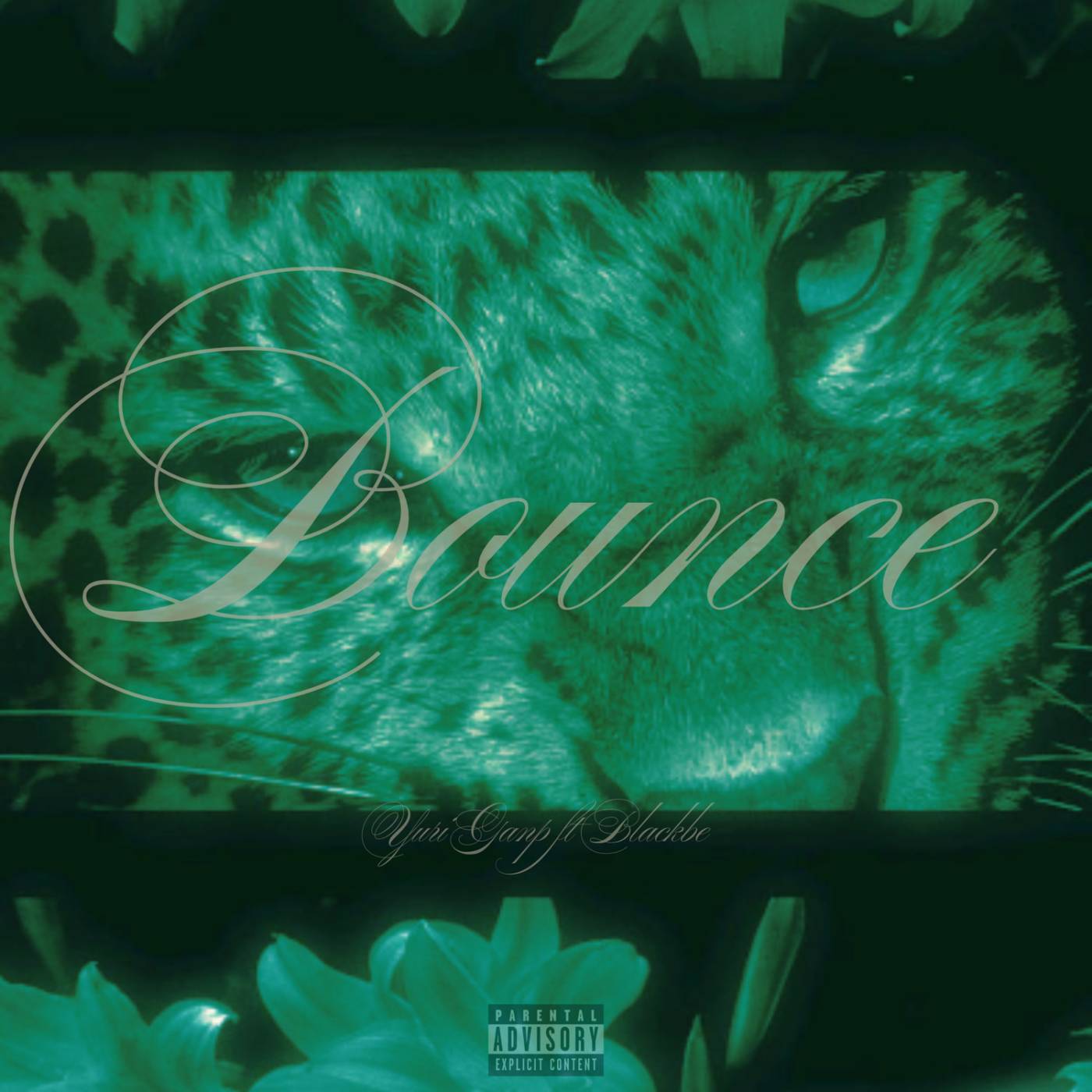 BOUNCE