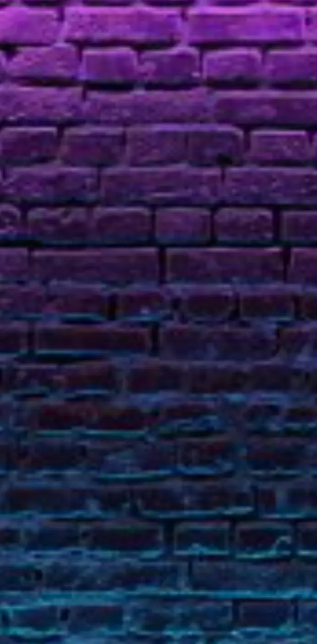 Neon wall