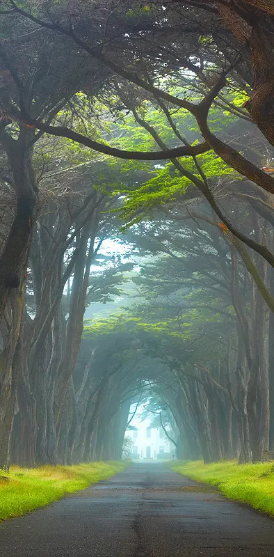 Nature Tunnel