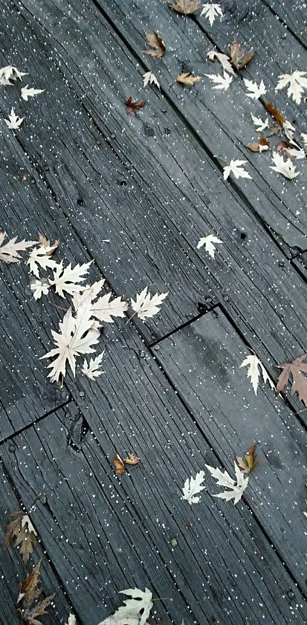 Leaves and planks
