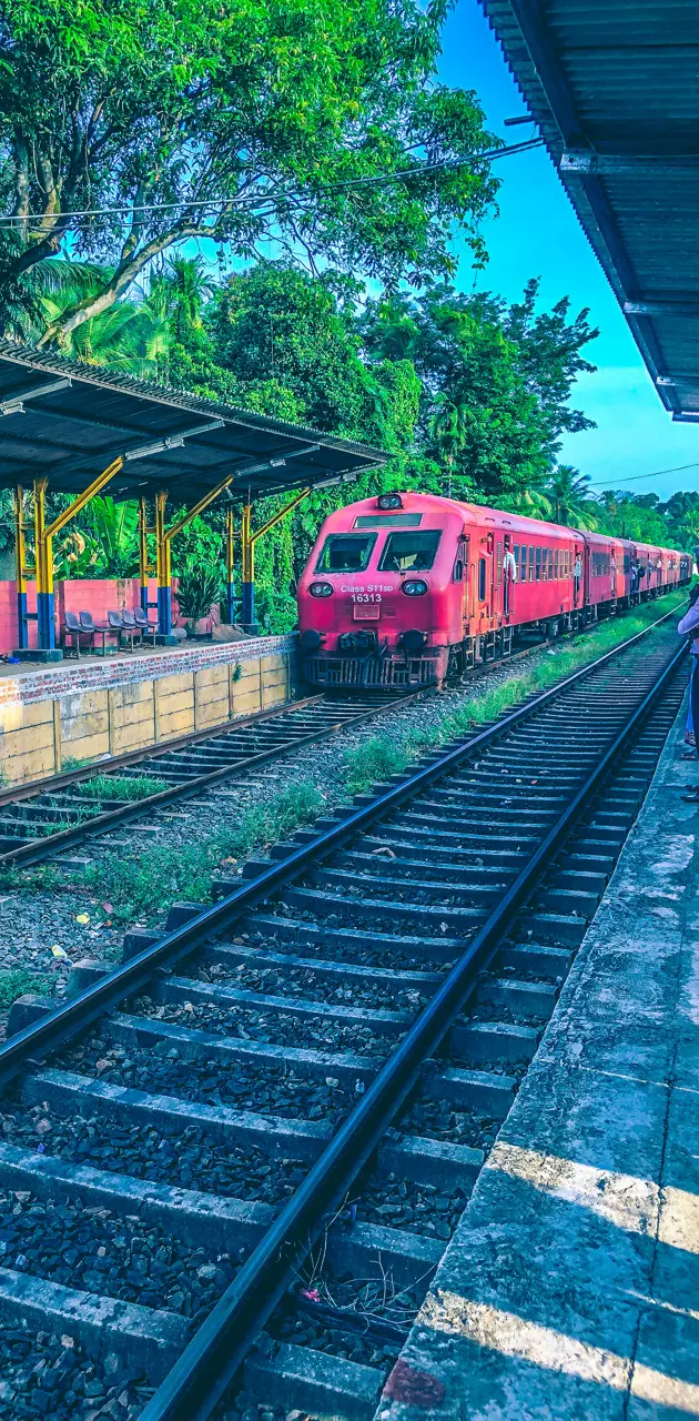 Sri Lankan Trains