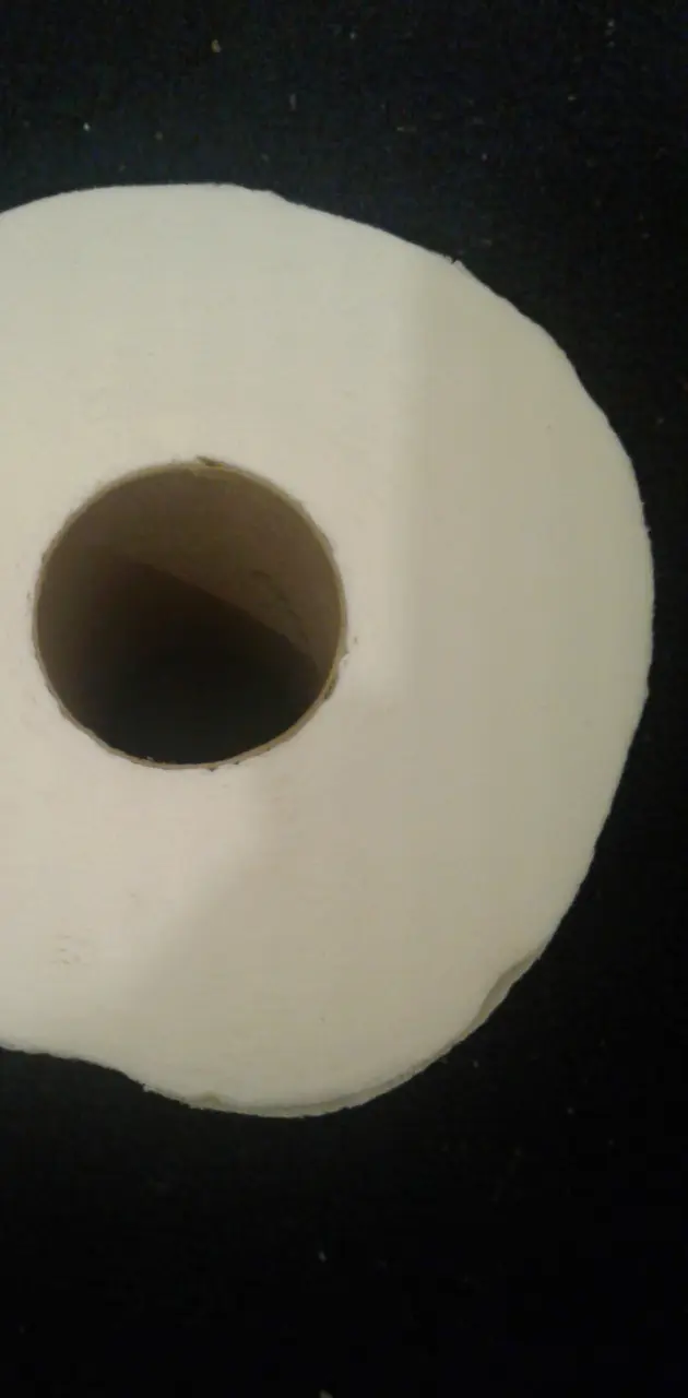 It be toilet paper