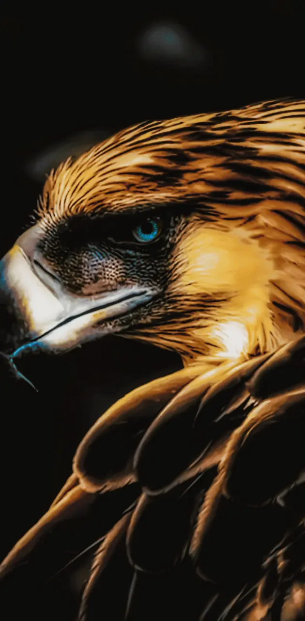 Mighty Golden Eagle 