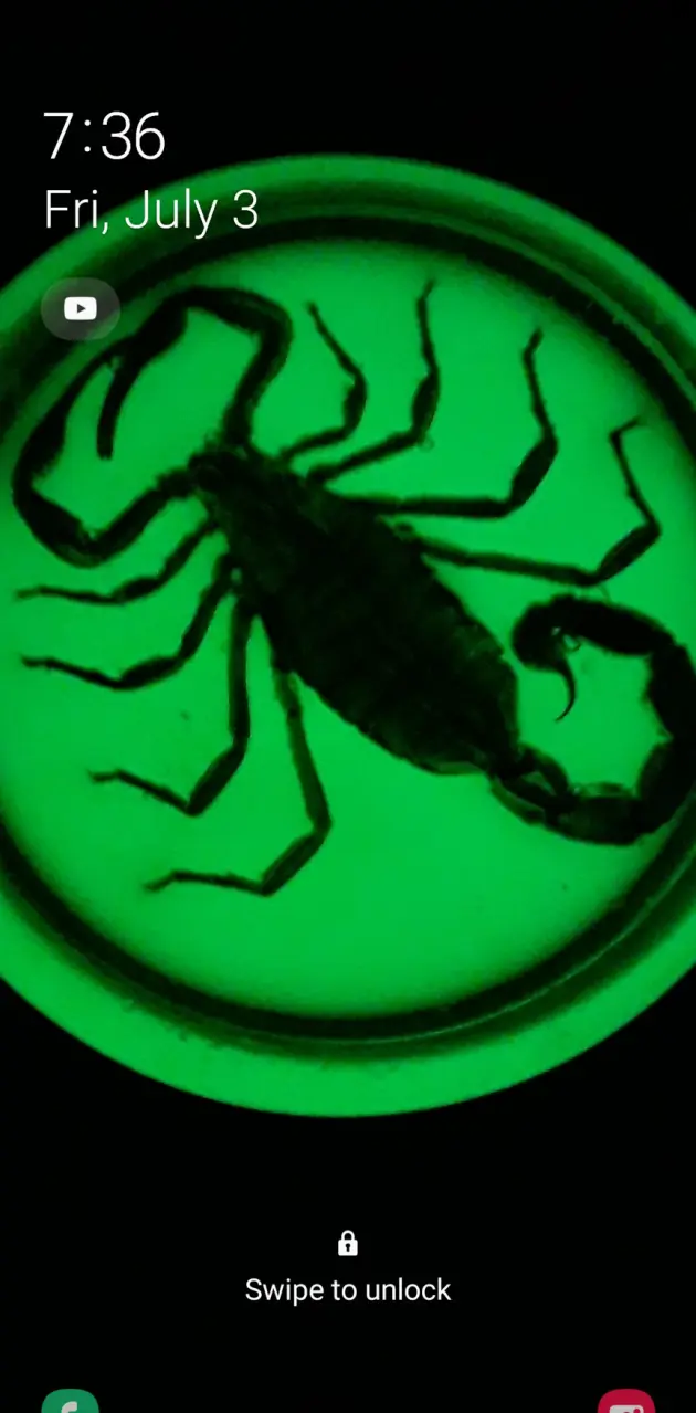 Neon Scorpion