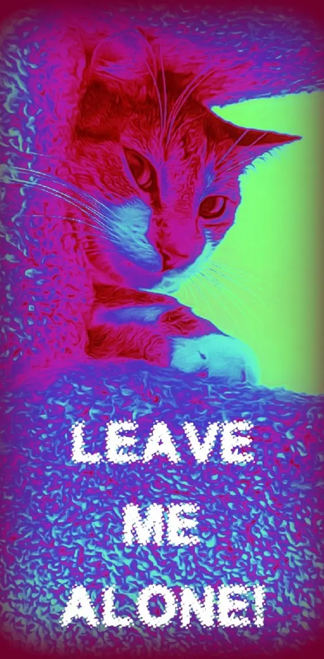 Leave Me Alone Cat