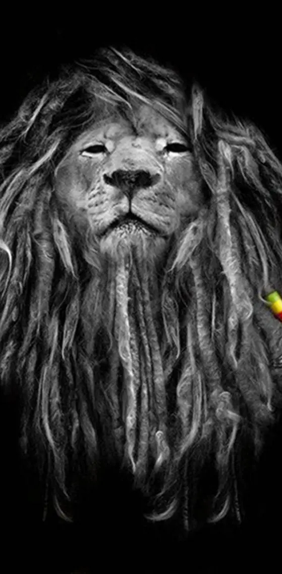 The Rasta Lion