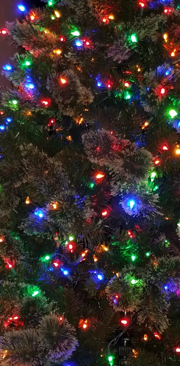 Christmas lights