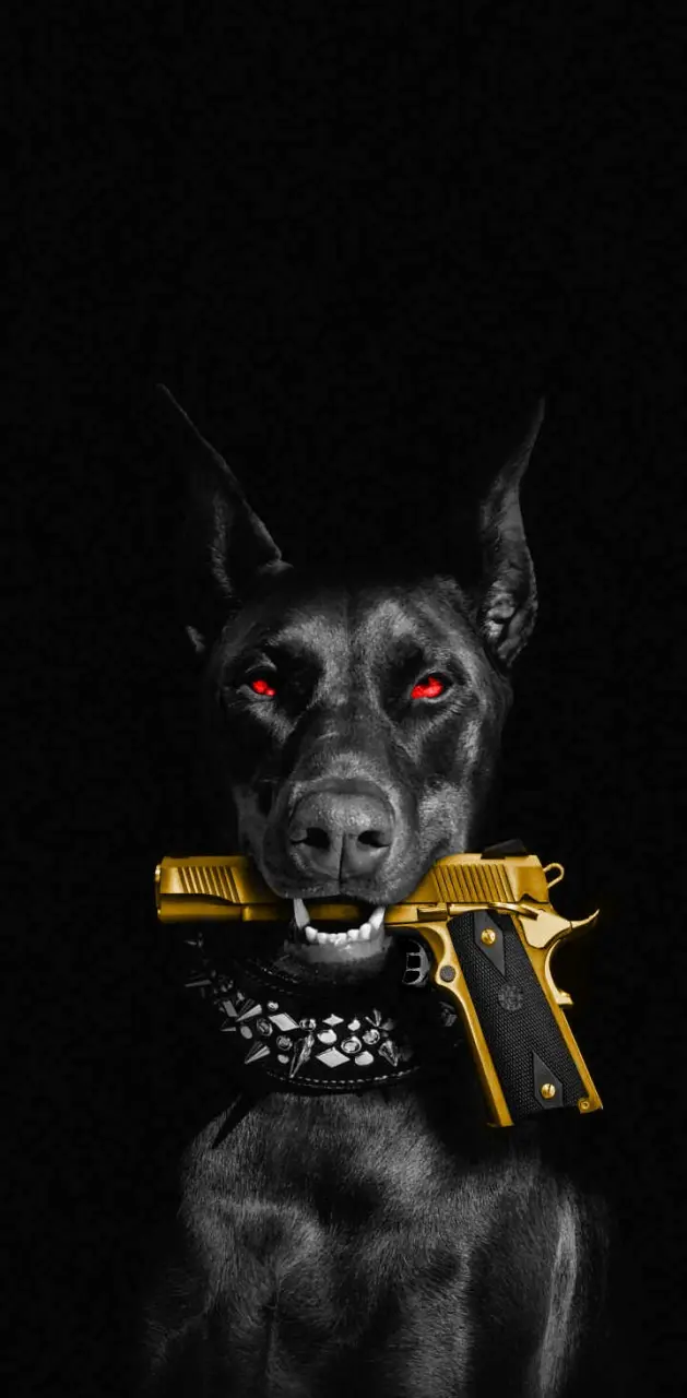 Dog with gun