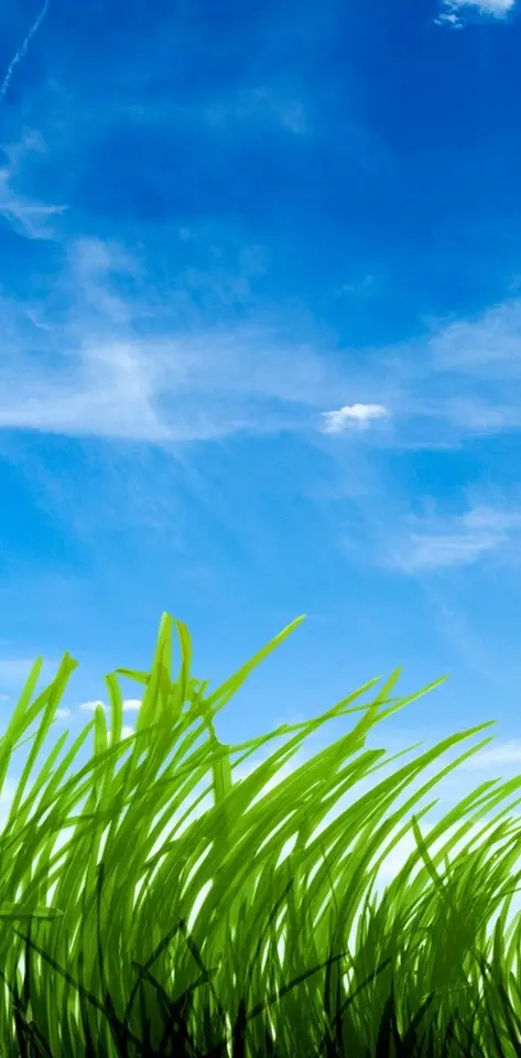Blue Sky Green Grass