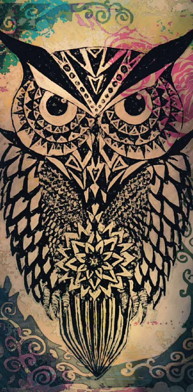 Owls night