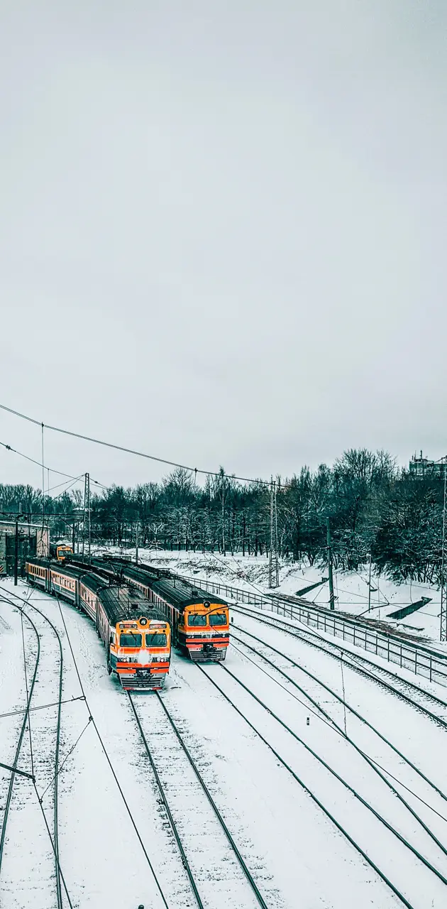Latvijas Train 