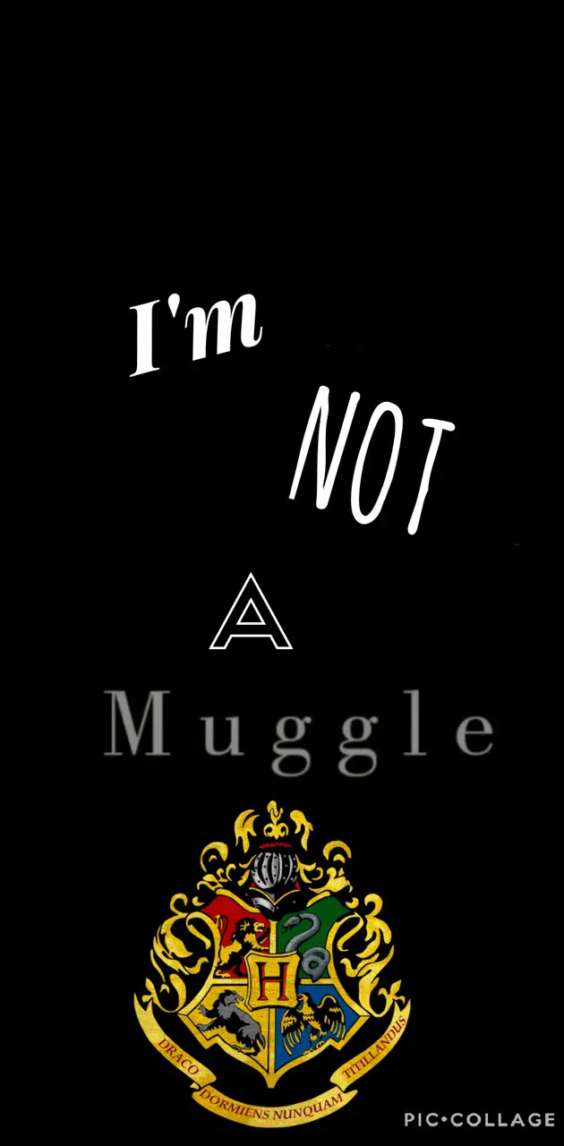 not a muggle 