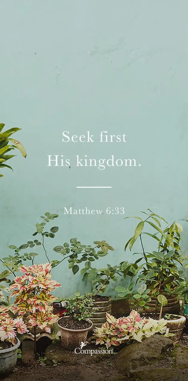 Seek his kingdom