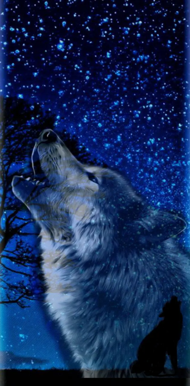 Blue wolf and stars