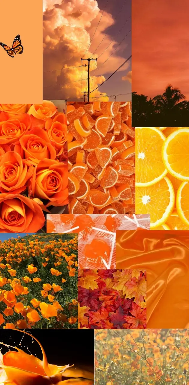 Orange aesthetic 