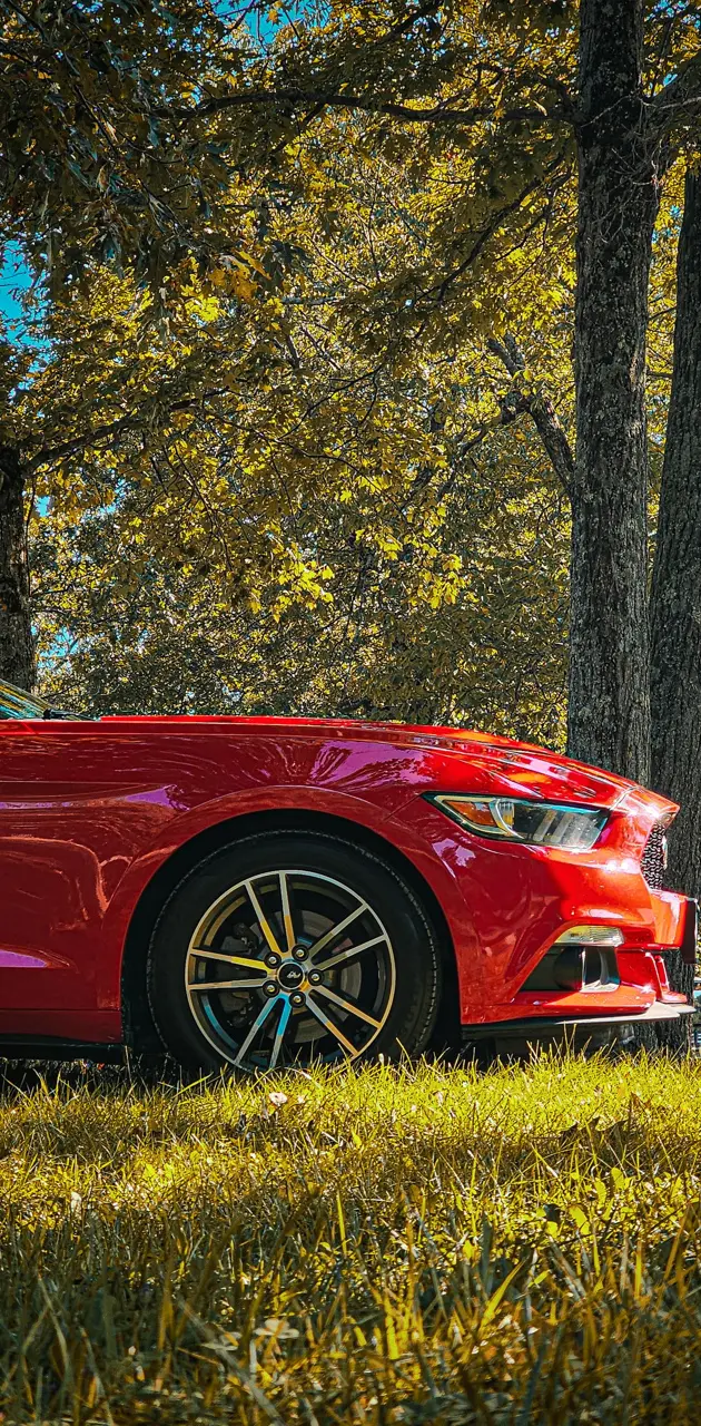 Mustang Red