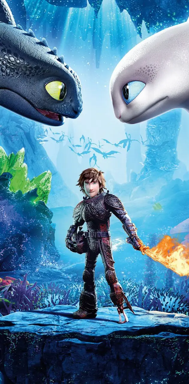 Hiccup & Toothless 