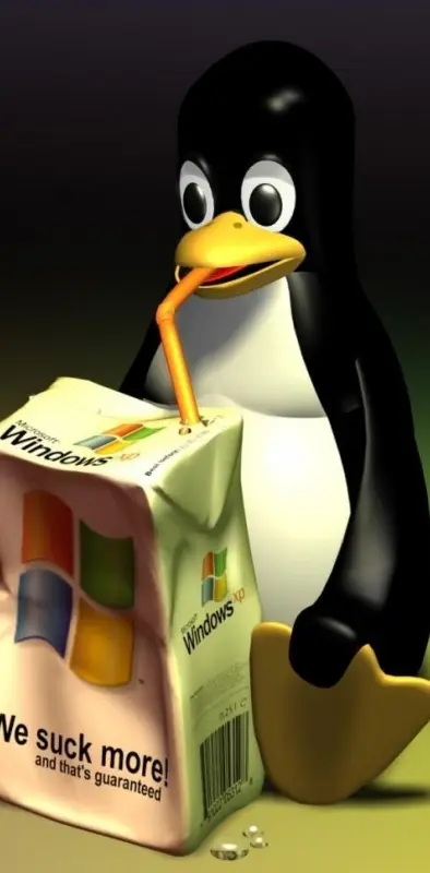 Linux Vs Windows