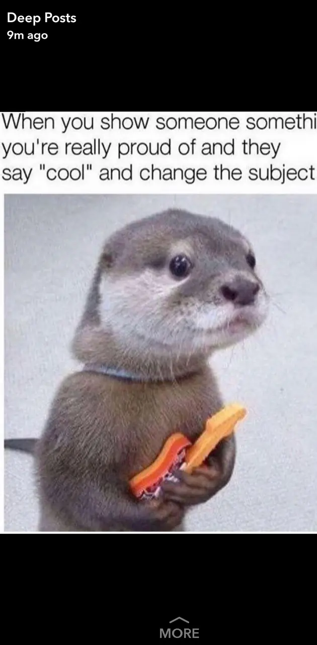 Otter 