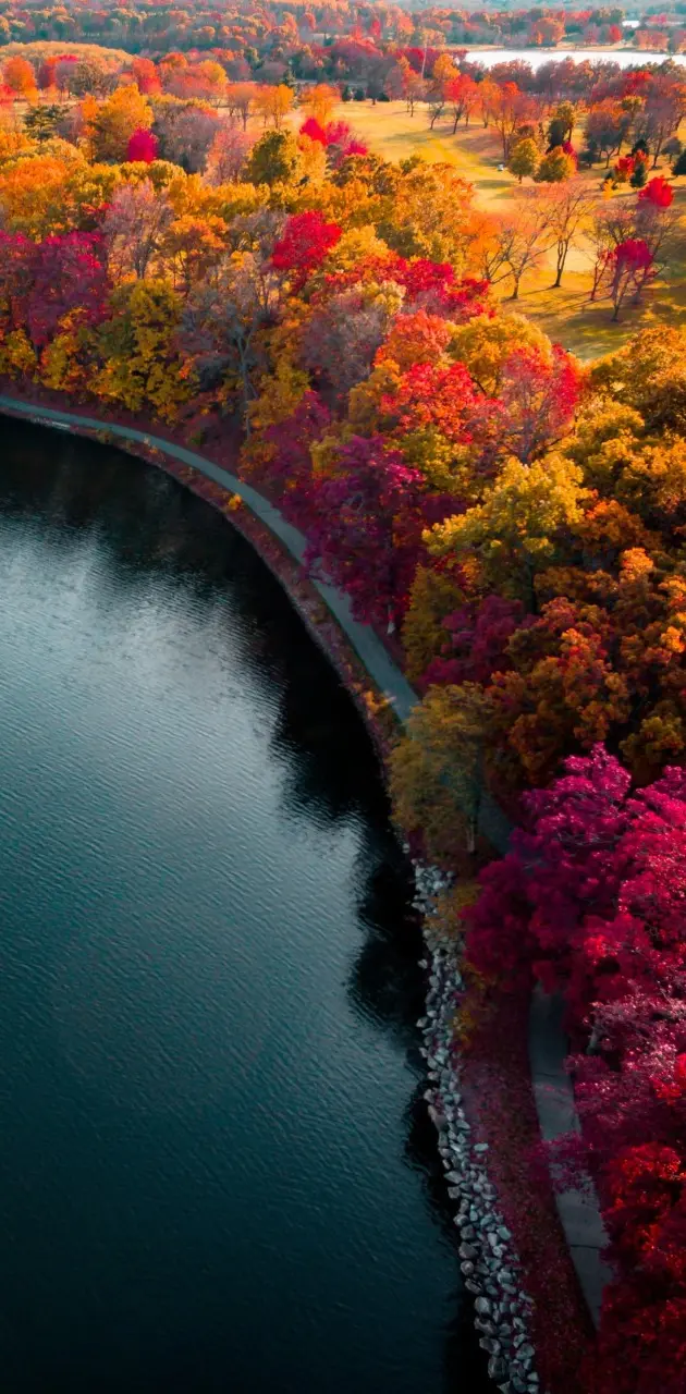 Autumn Lake HD